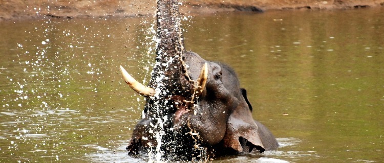 national park in karnataka